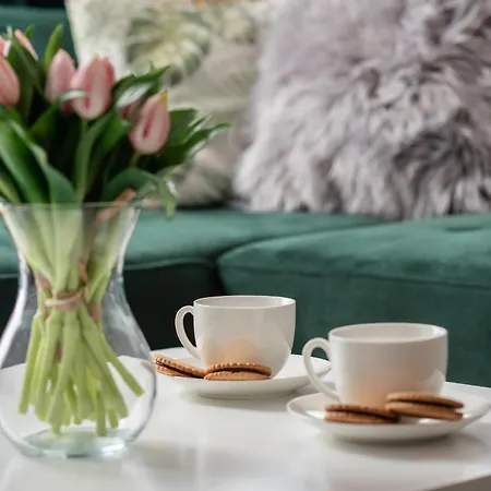 Appartement Spacious In With Parking And Seasonal Swimming Pool By Renters Prestige Wisełka