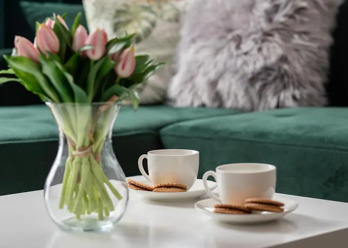 Appartement Spacious In With Parking And Seasonal Swimming Pool By Renters Prestige Wisełka